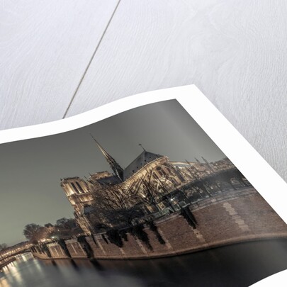 Notre-Dame de Paris, France by Assaf Frank